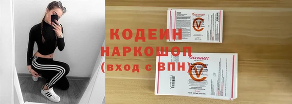 ECSTASY Алзамай