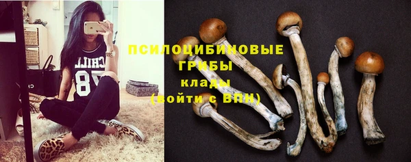 ECSTASY Алзамай